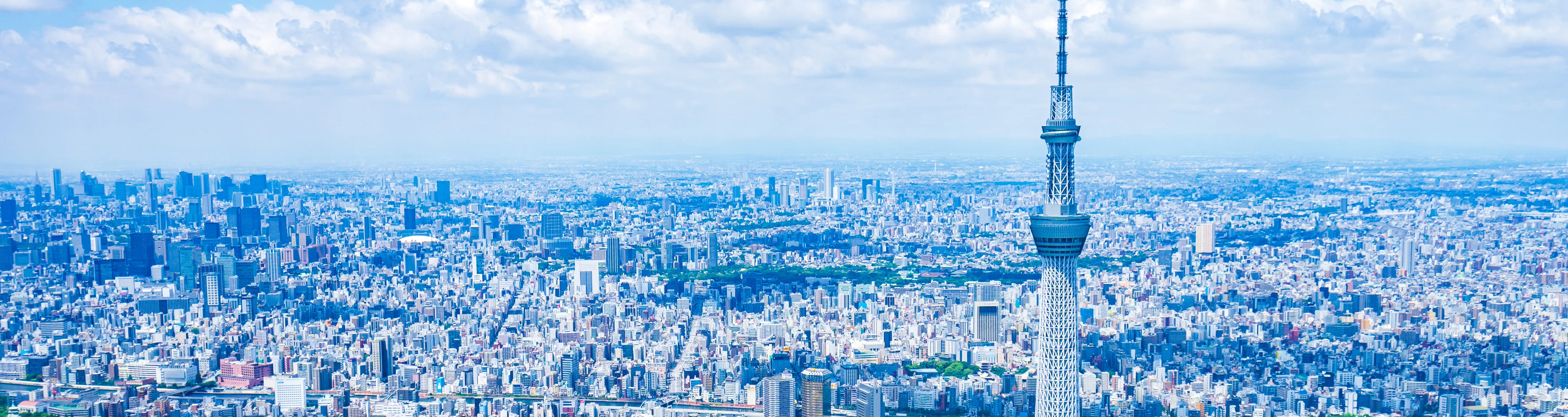 スカイツリーの写真